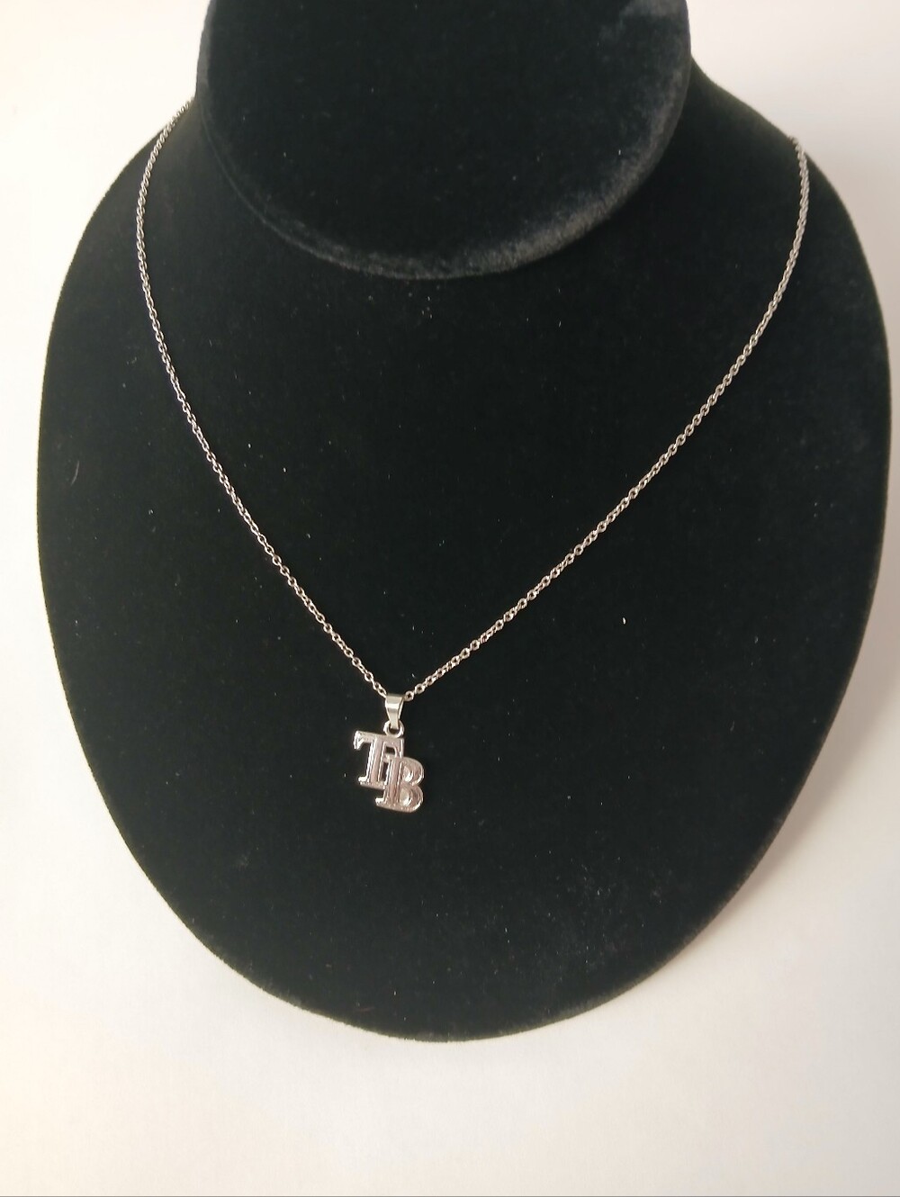 Tampa Bay Rays Logoart 18" Necklace